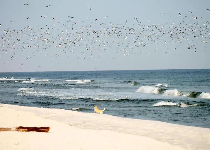 Apartment White Pearl 2.08 Timmendorfer Strand